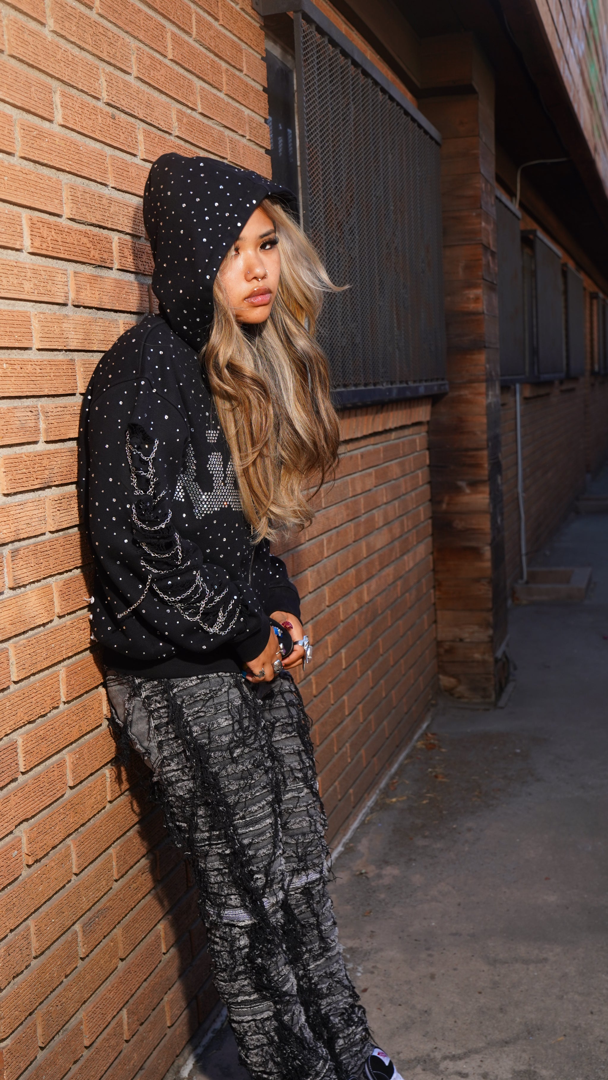 RICHSOUL ICED OUT HOODIE